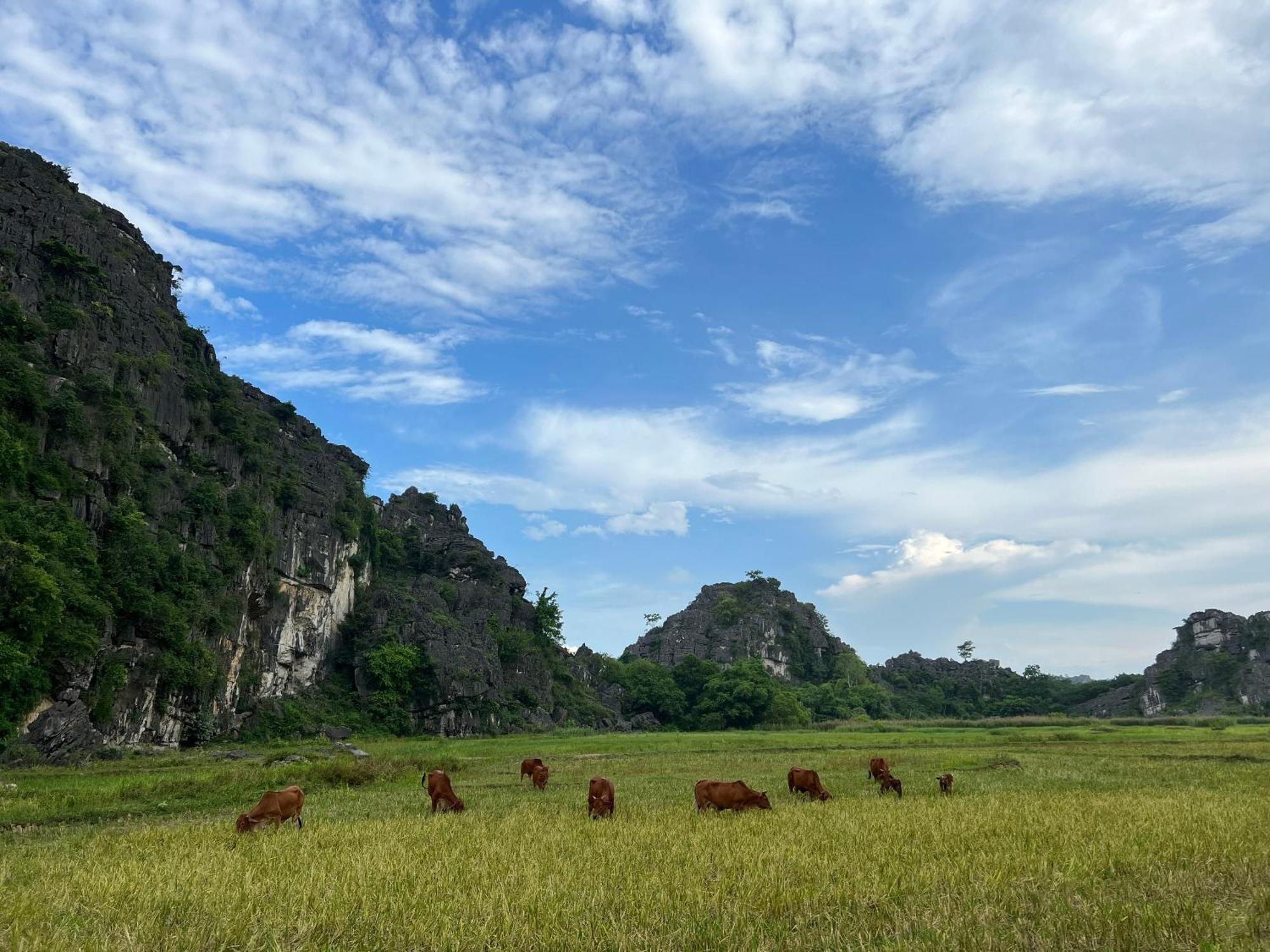 Ninh Binh Family Homestay Esterno foto